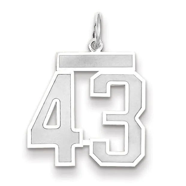 14k White Gold Satin Brush Finish Medium Size Number 43 Charm Pendant