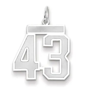 14k White Gold Satin Brush Finish Medium Size Number 43 Charm Pendant