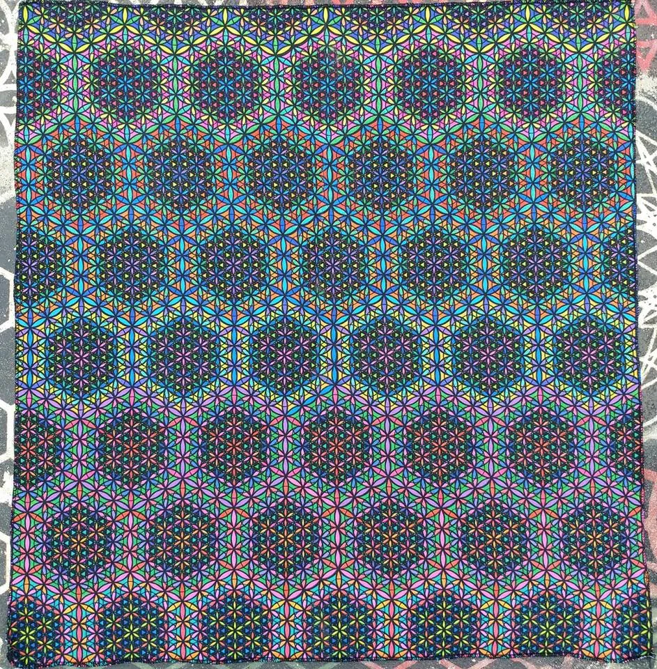 Double Vision Bandanna