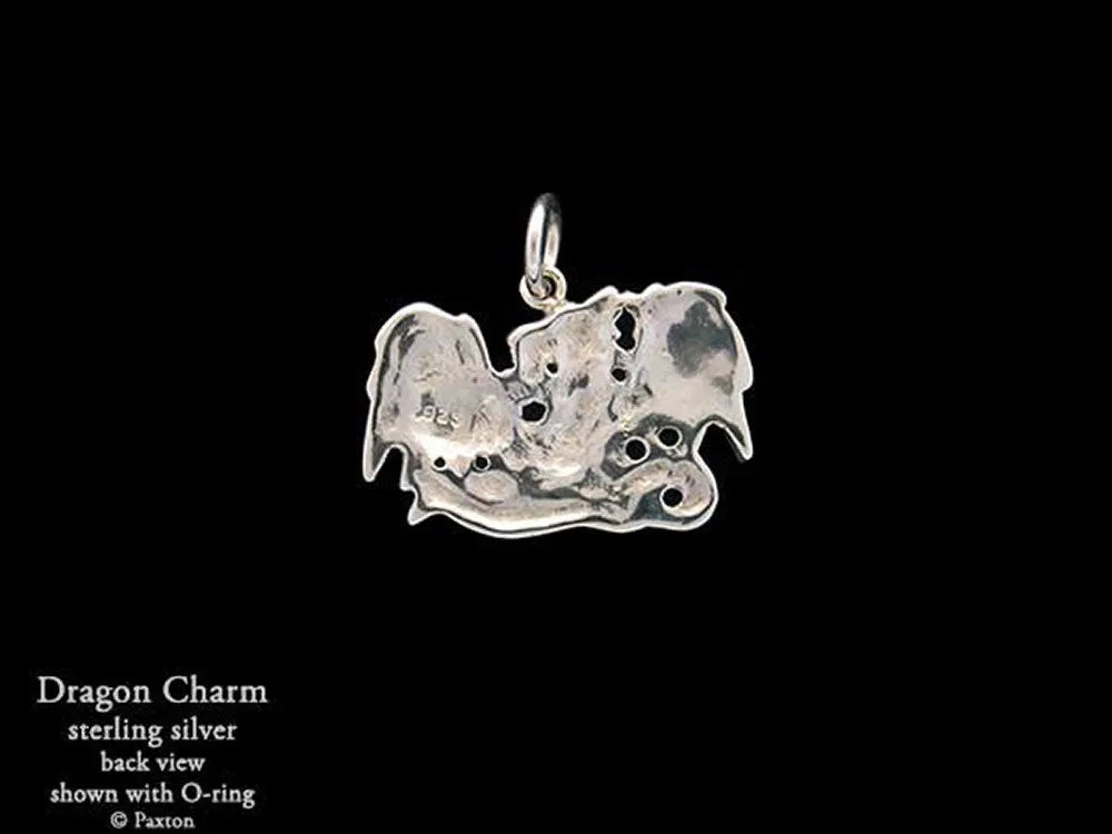 Dragon Charm Necklace Sterling Silver