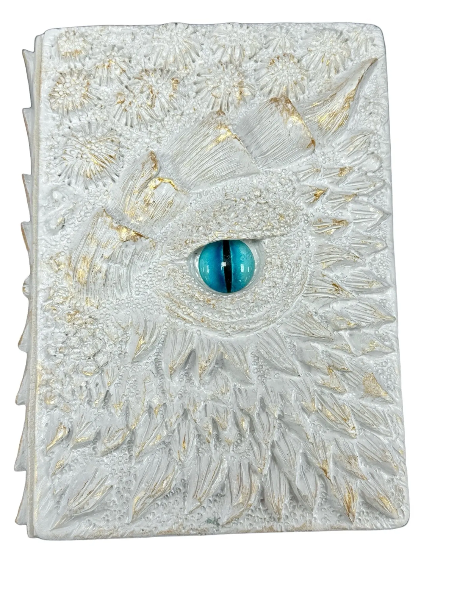 Dragon Eye Book Journal