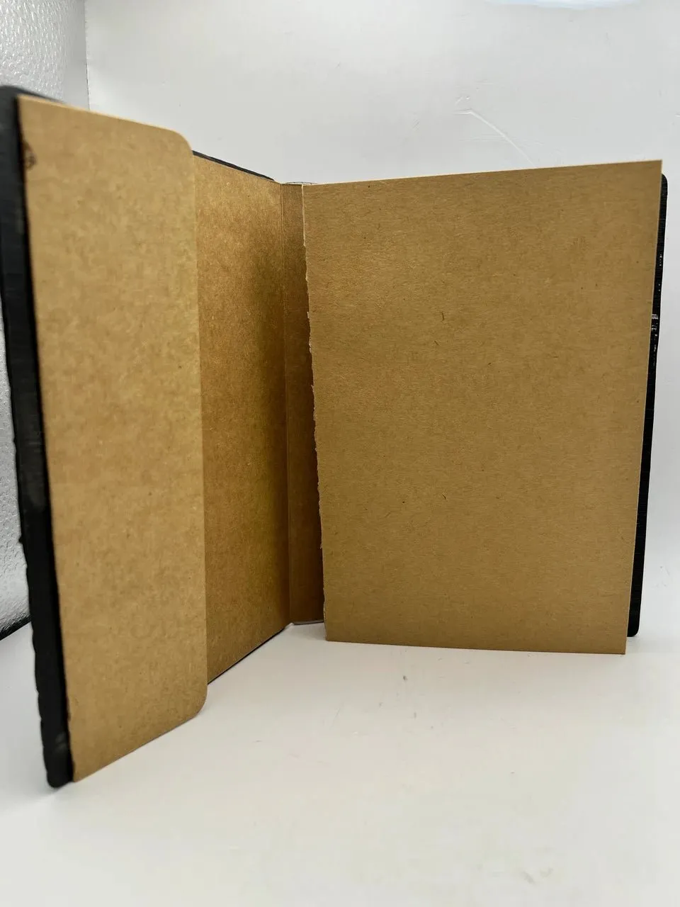 Dragon Eye Book Journal