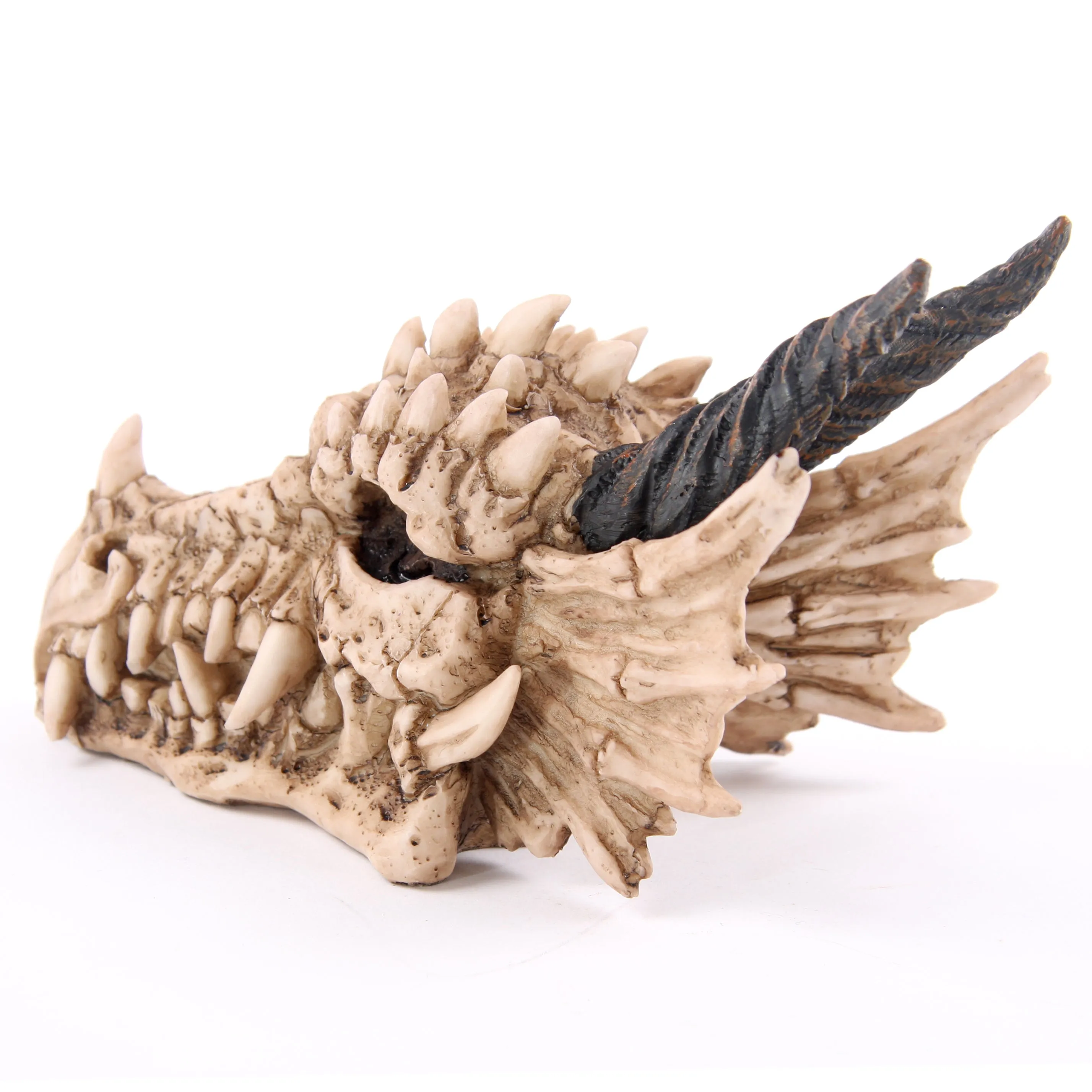 Dragon Skull Money Box