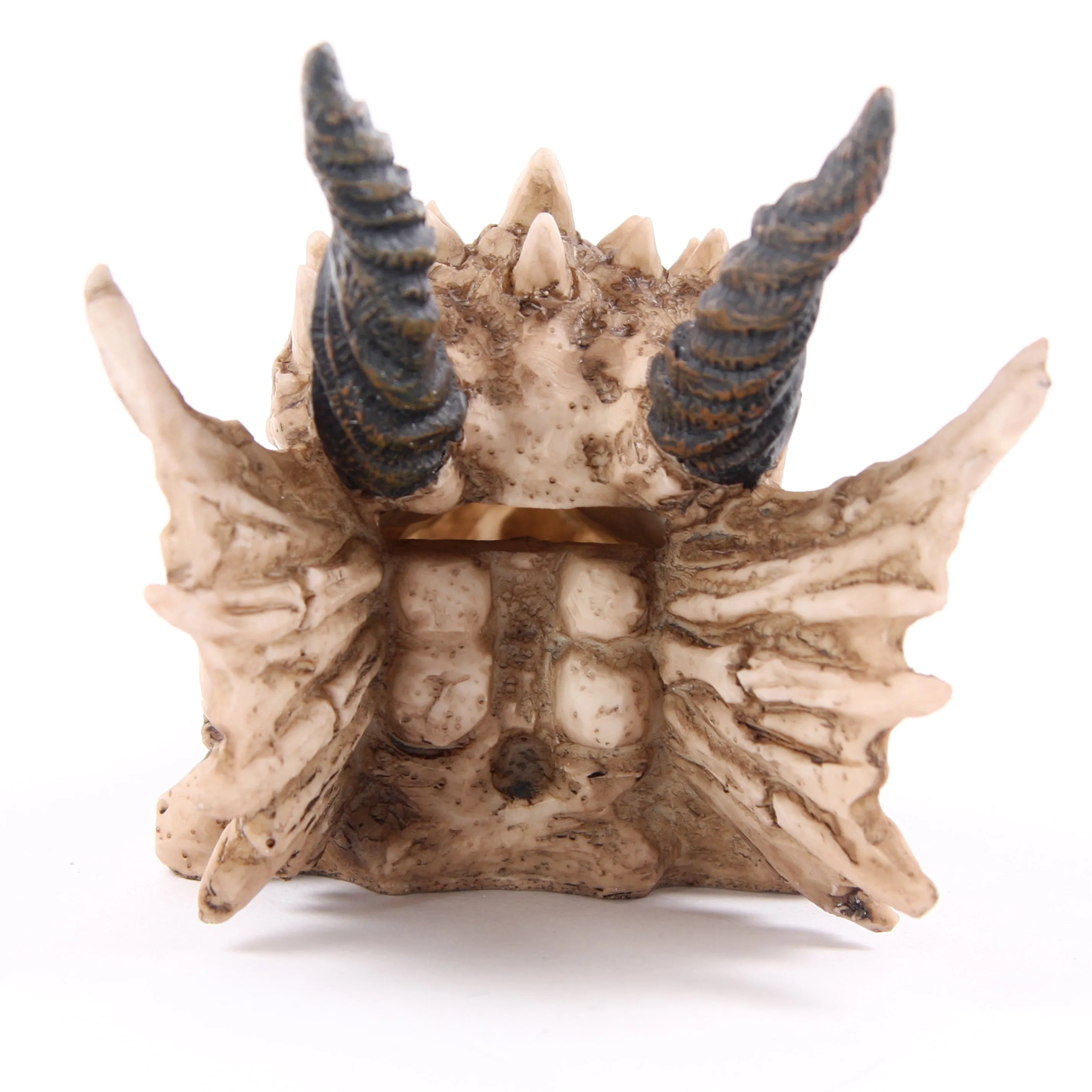 Dragon Skull Money Box