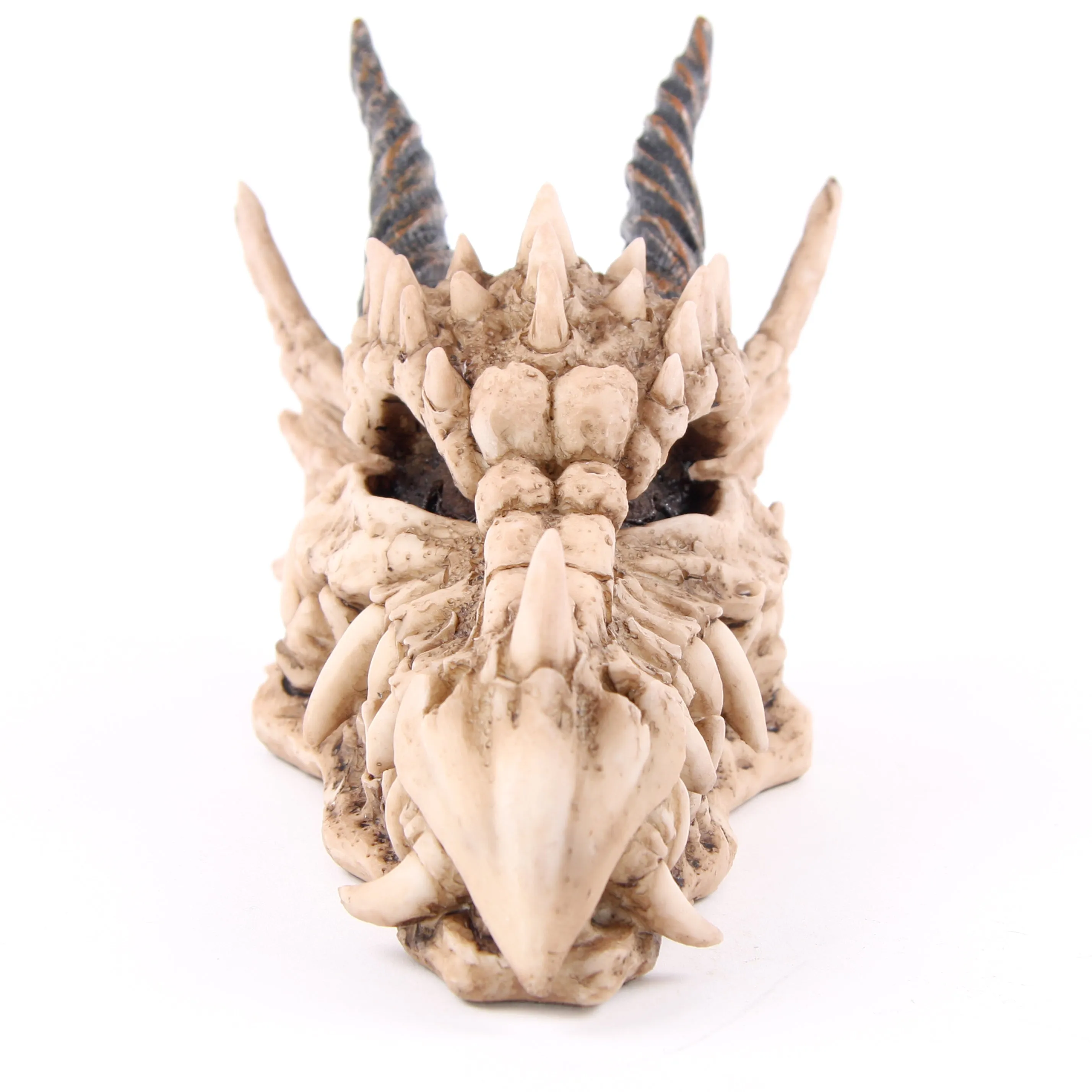 Dragon Skull Money Box