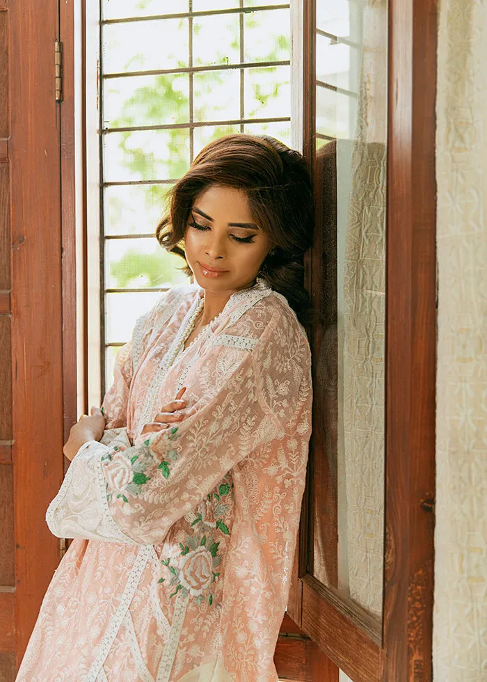 Elegant Kameez Trouser Embroidered Pakistani Eid Dress