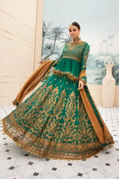 Embroidered Chiffon Frock with Lehnga  #N0014