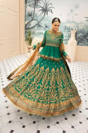 Embroidered Chiffon Frock with Lehnga  #N0014