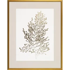 Gold Foil Algae P0084B-06060