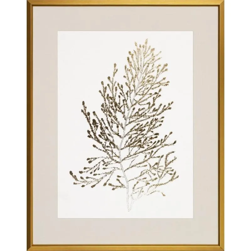 Gold Foil Algae P0084B-06060