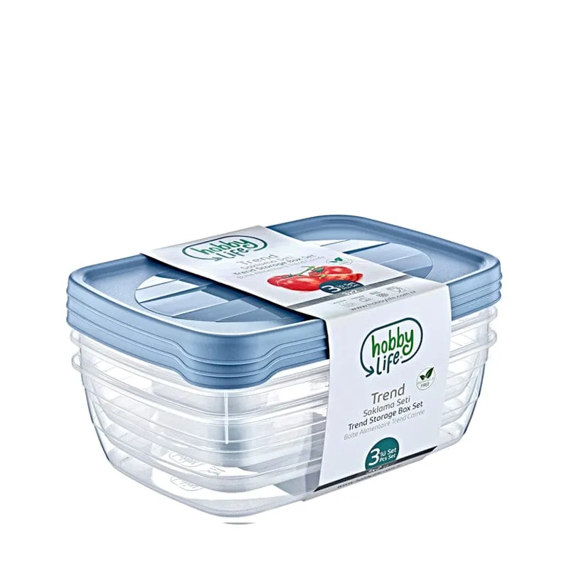 Hobby Life Rectangular Trend Storage Set Of 3
