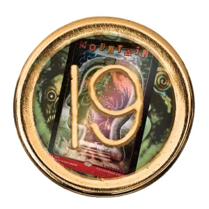 Magic Elevator Superdrop Secret Lair x Brain Dead Lands Foil Edition