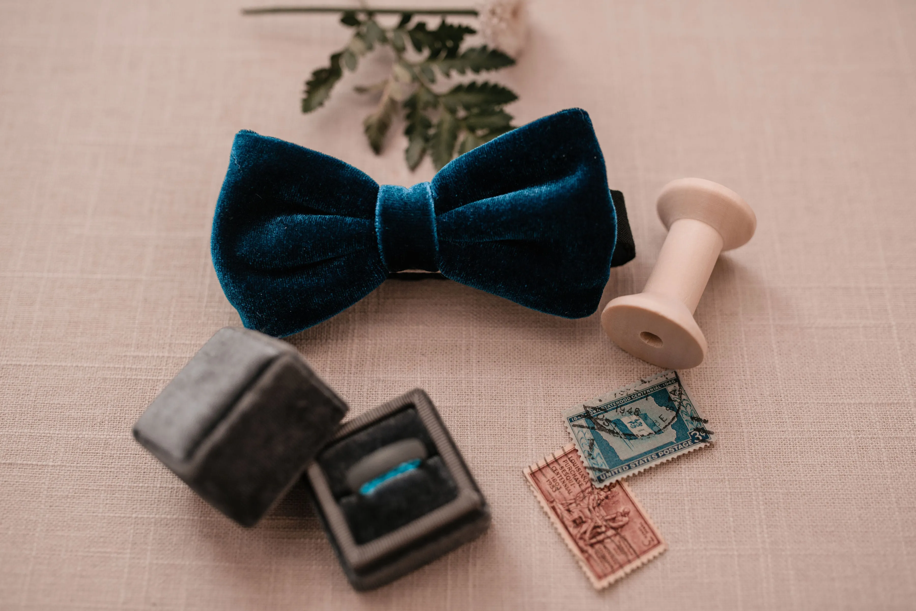 Midnight Blue Velvet Bow Tie