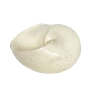 Modern Nautilus bowl