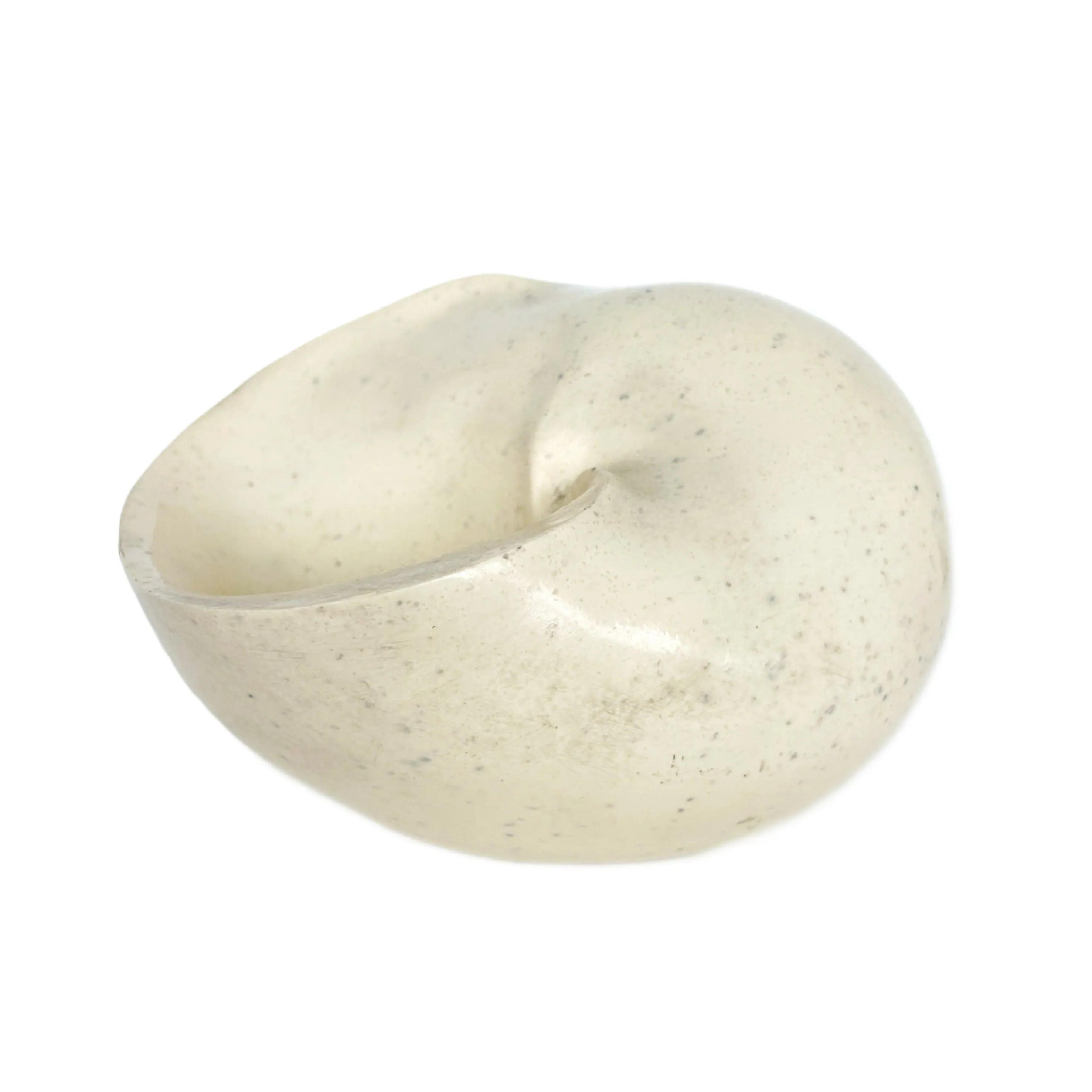 Modern Nautilus bowl