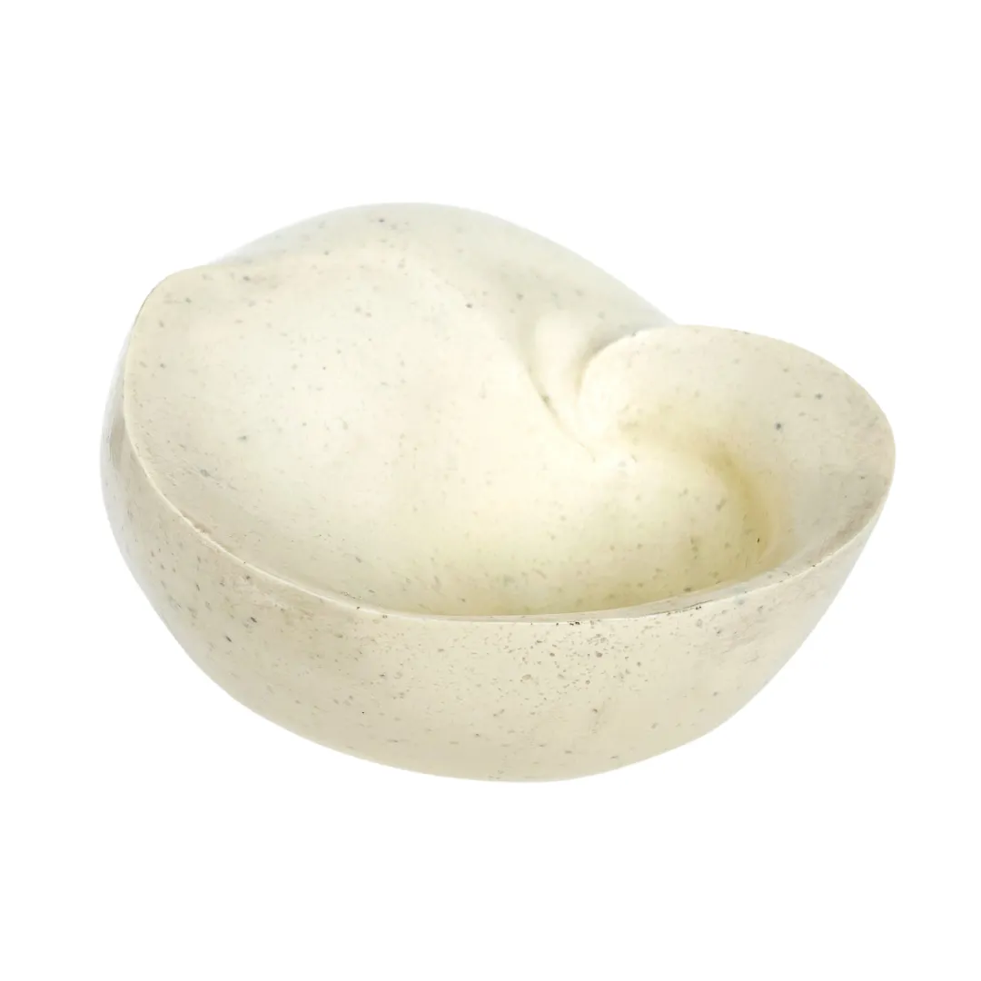 Modern Nautilus bowl