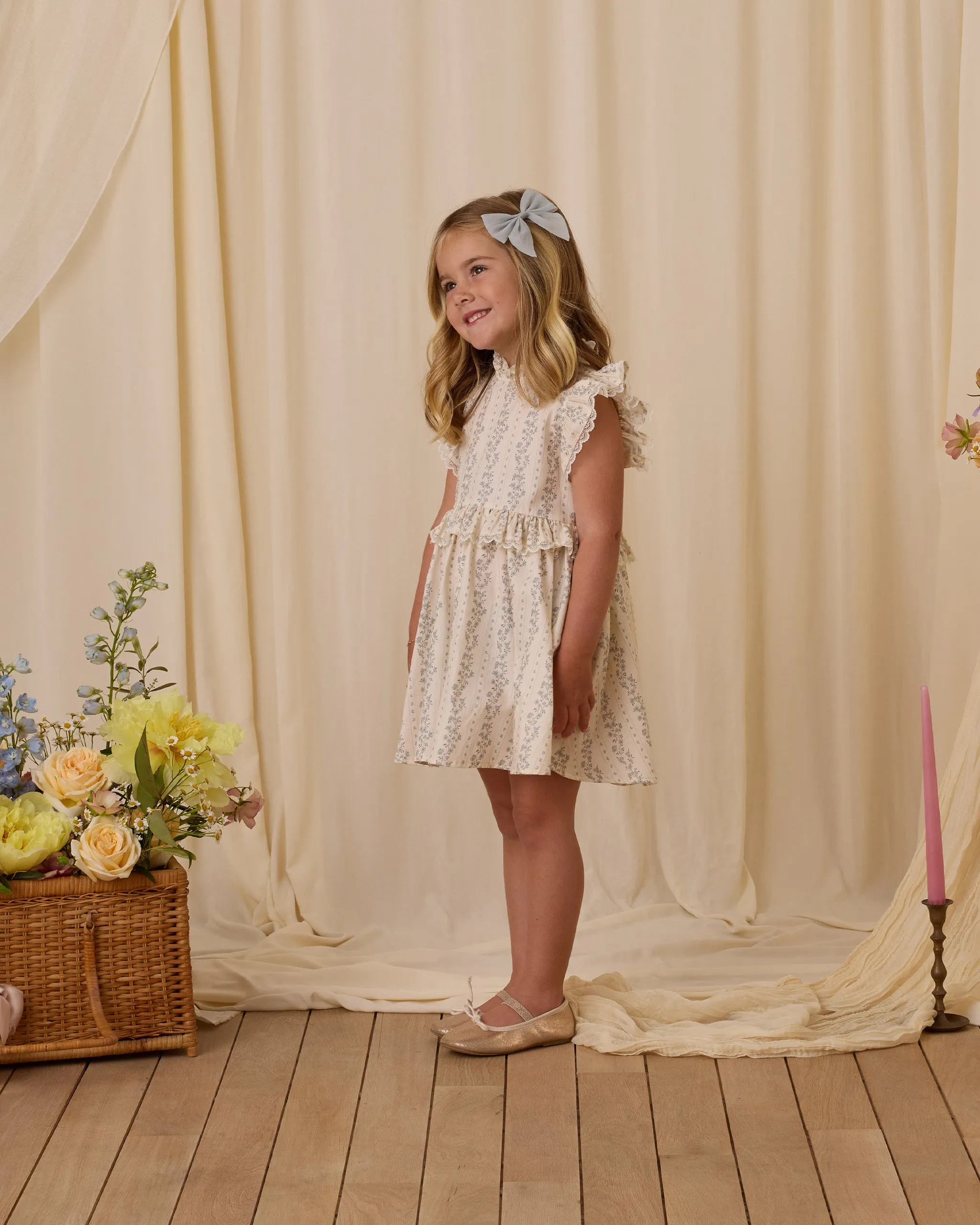 NORALEE Alice Dress | Antoinette Stripe