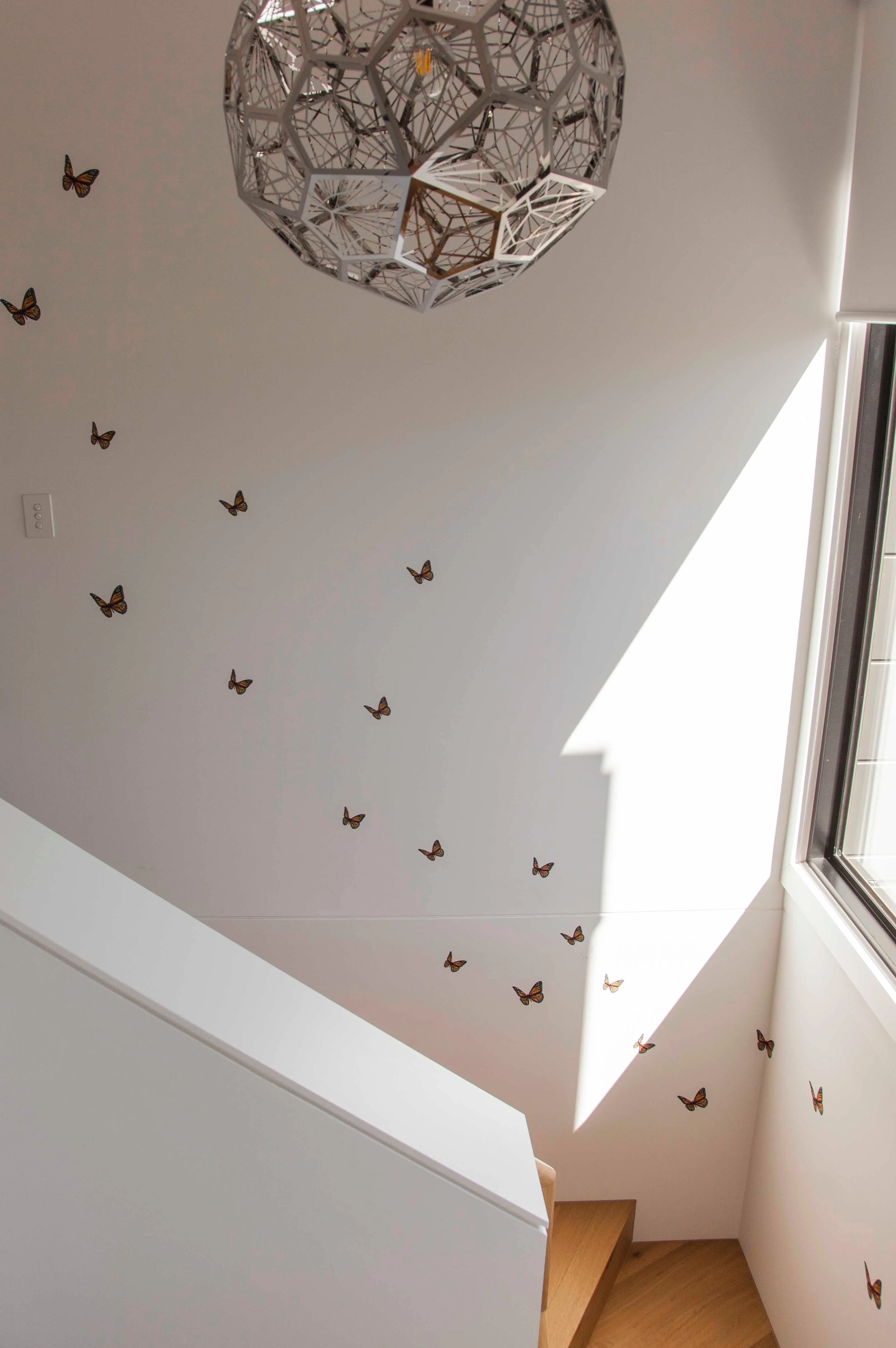 Orange Butterflies Australian Design Hand Painted Peel & Stick, Removable Wall Decal. Nursery, Kids Playroom, Kids Teens Bedroom