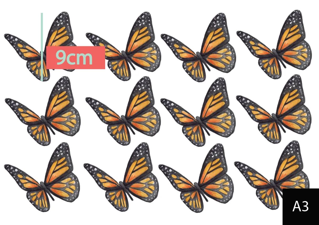 Orange Butterflies Australian Design Hand Painted Peel & Stick, Removable Wall Decal. Nursery, Kids Playroom, Kids Teens Bedroom