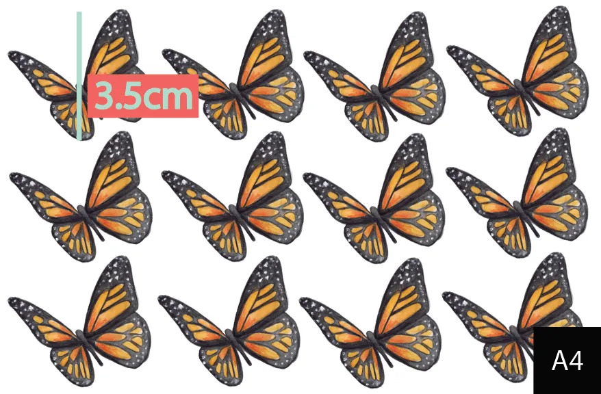 Orange Butterflies Australian Design Hand Painted Peel & Stick, Removable Wall Decal. Nursery, Kids Playroom, Kids Teens Bedroom