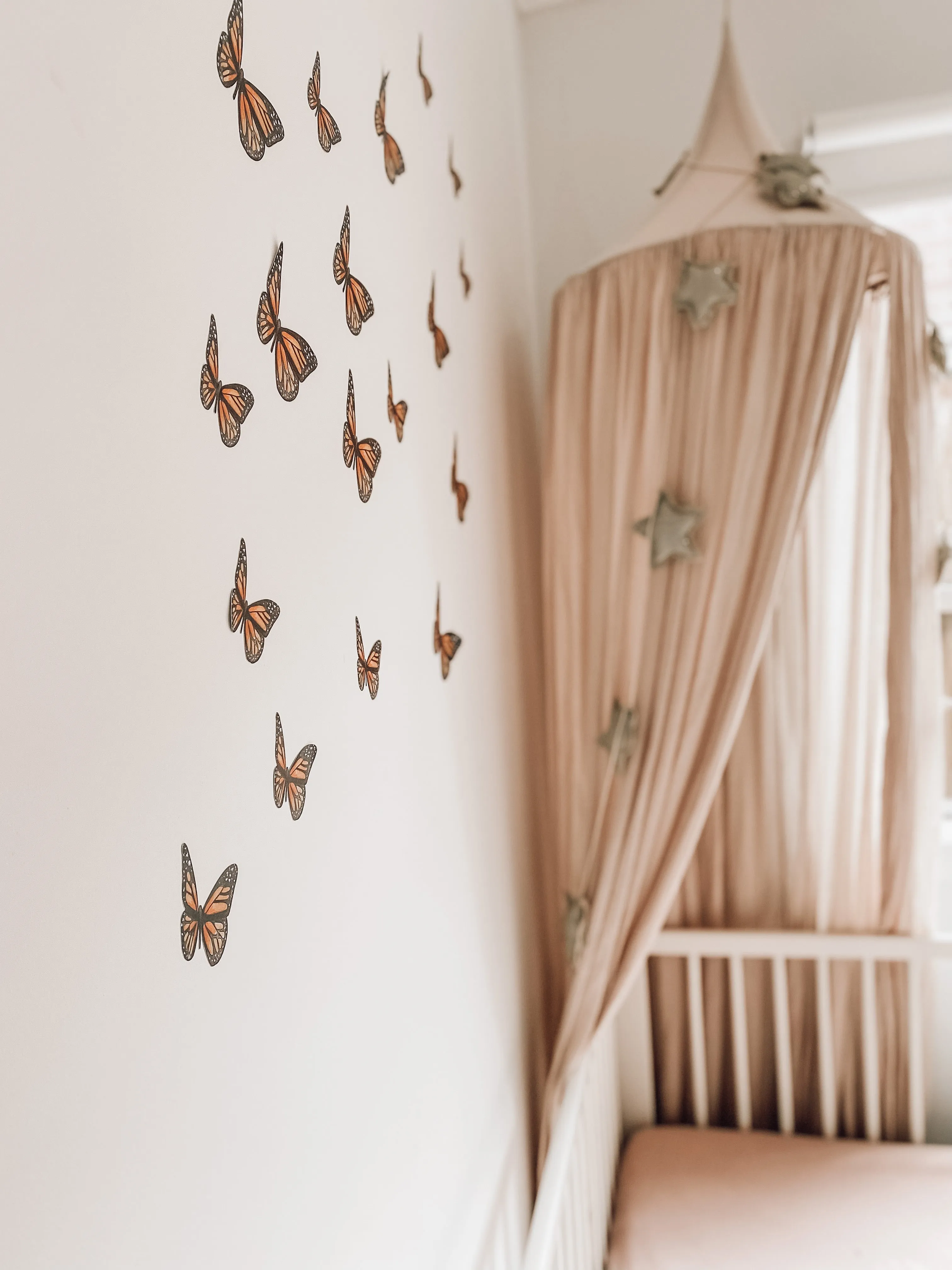 Orange Butterflies Australian Design Hand Painted Peel & Stick, Removable Wall Decal. Nursery, Kids Playroom, Kids Teens Bedroom