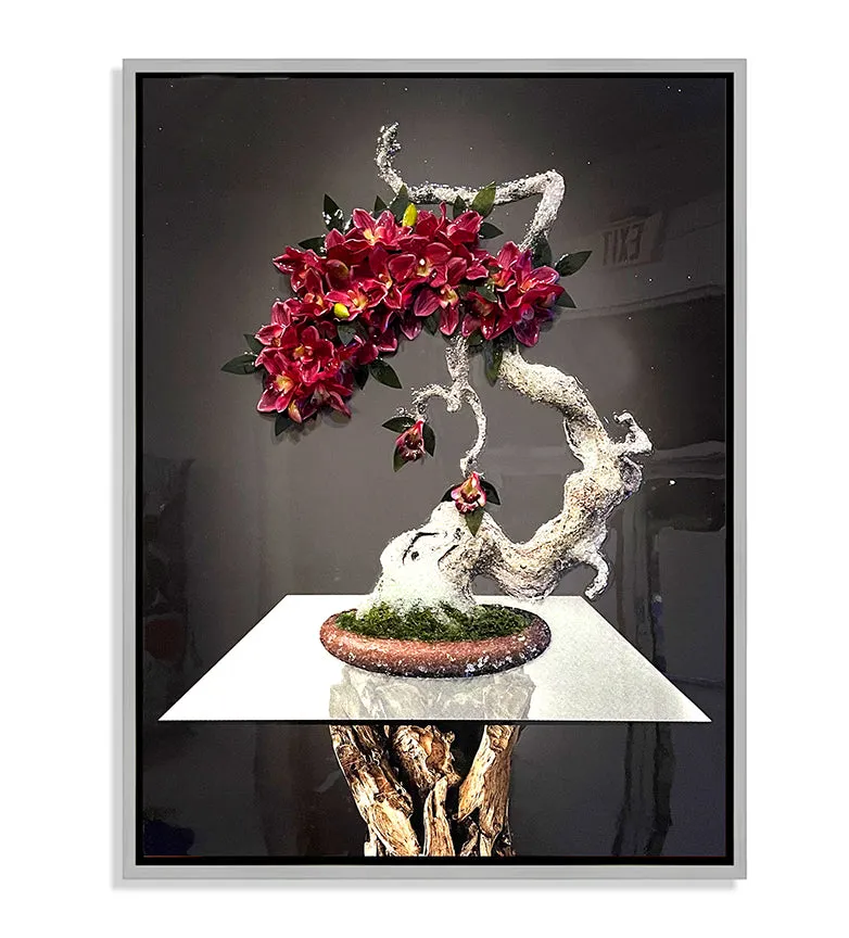 Orchid Koi Fish