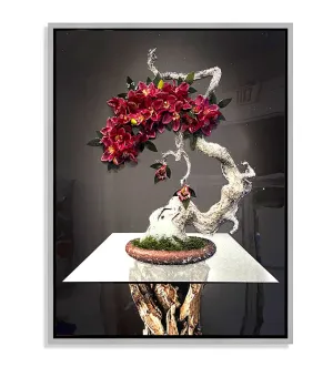 Orchid Koi Fish