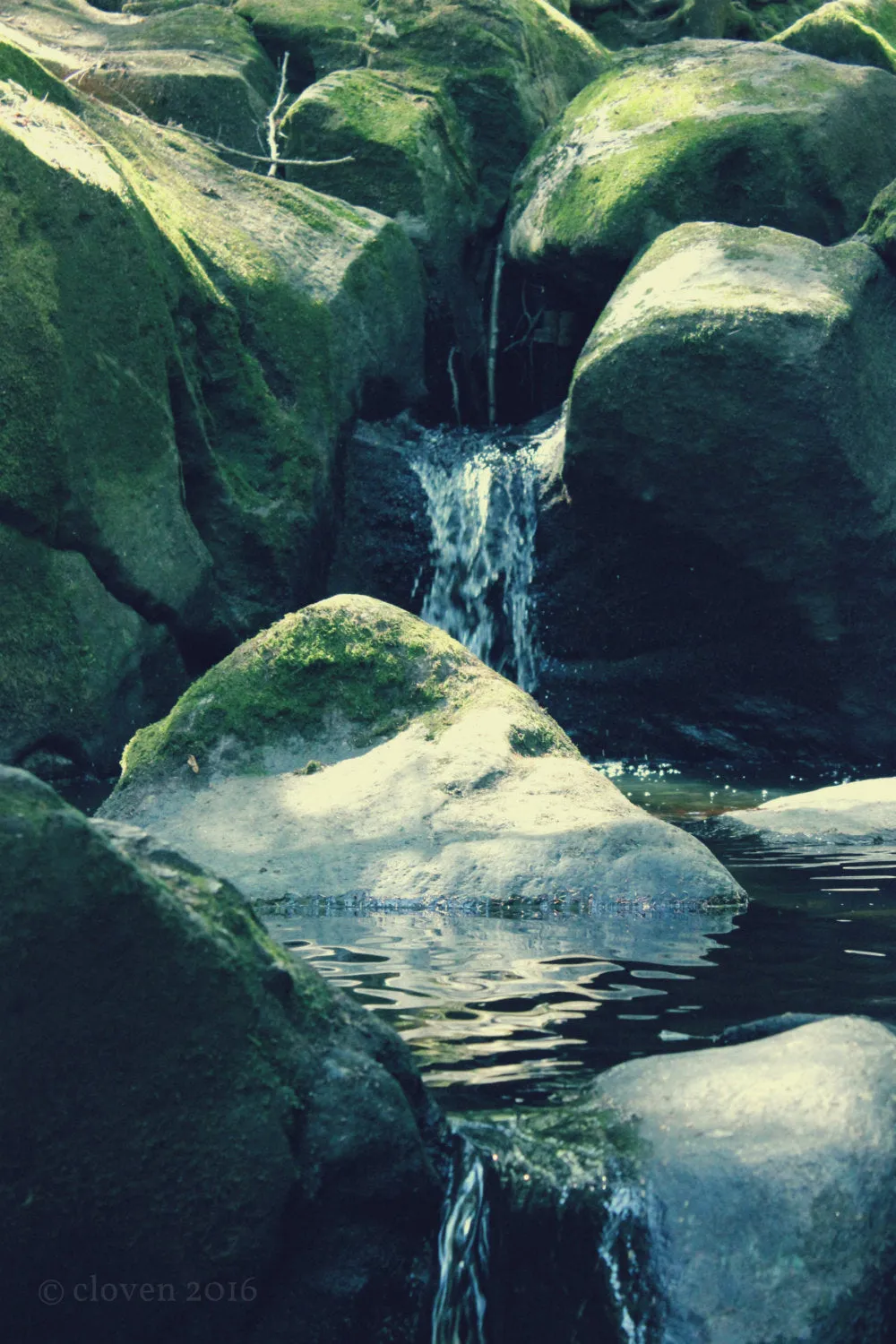 "Green Lagoon". Original Artwork Photography Print.