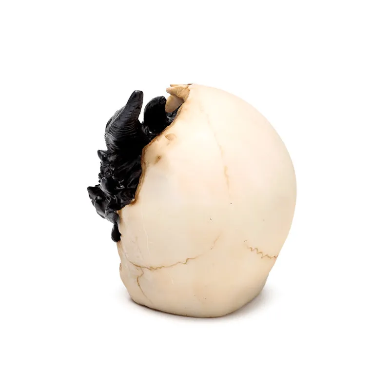 Shadows of Darkness Dragon - Black Dragon in Skull Small