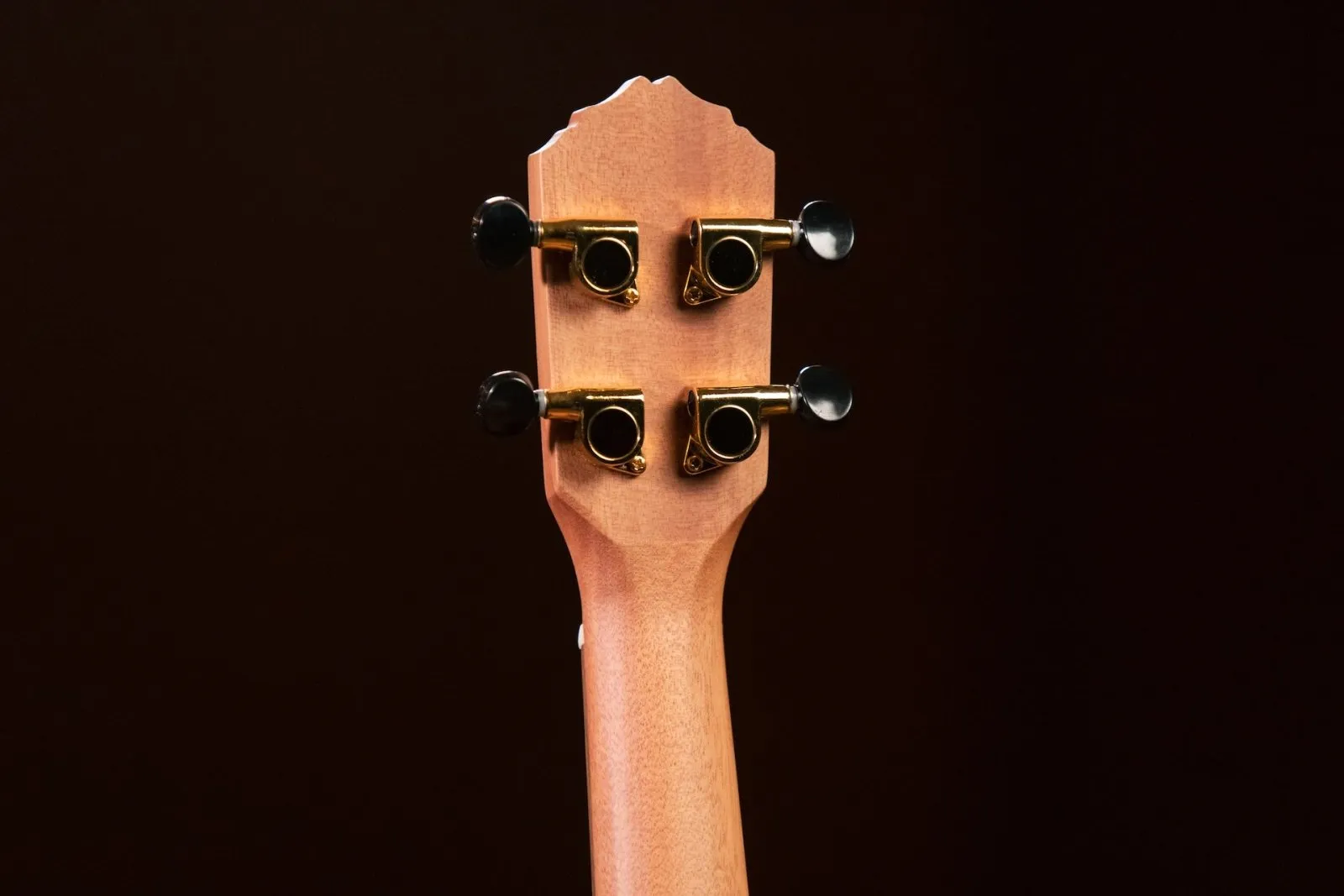Timber Series Tenor Ukulele - Solid Natural Cedar/Walnut Acoustic with Gig Bag