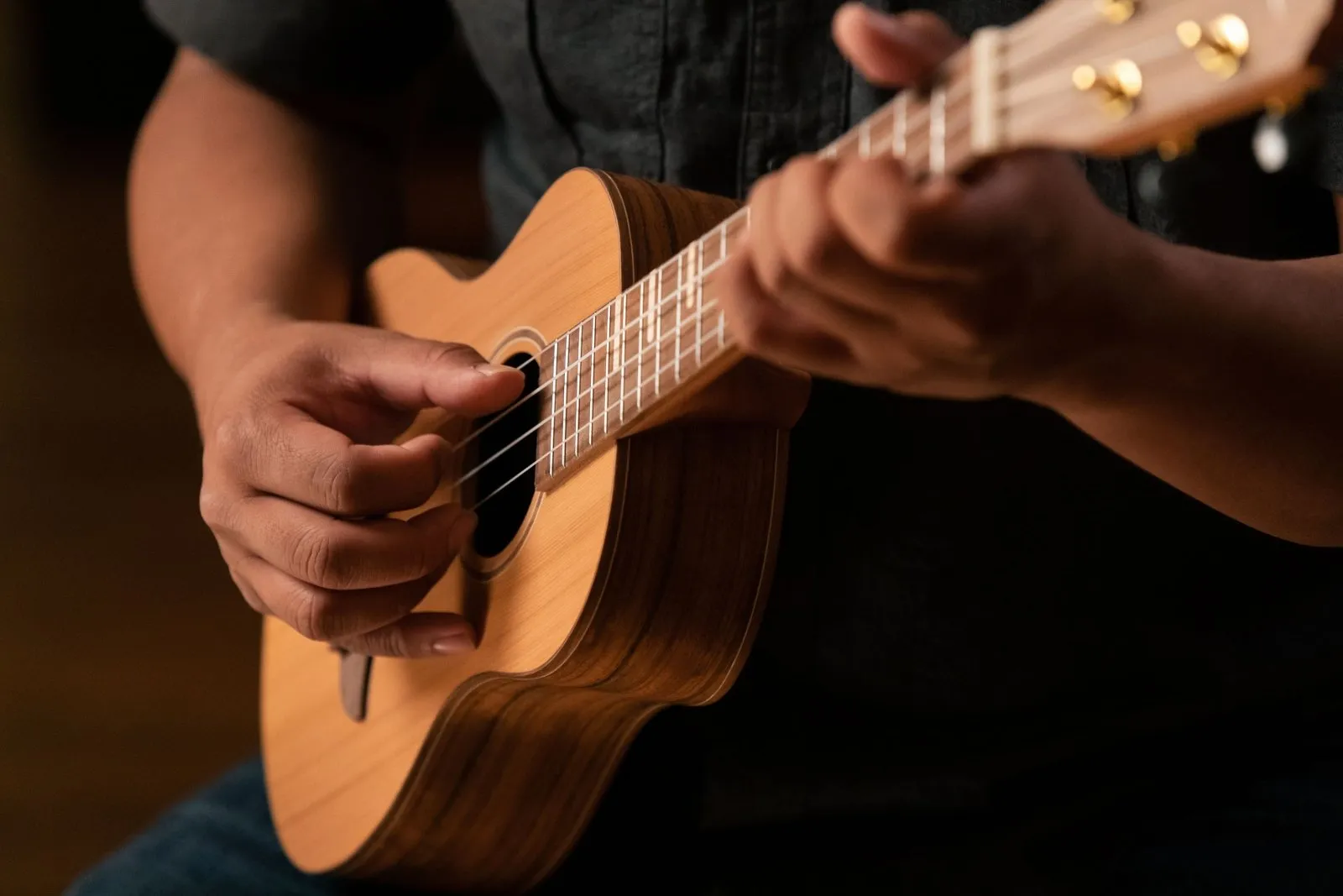 Timber Series Tenor Ukulele - Solid Natural Cedar/Walnut Acoustic with Gig Bag