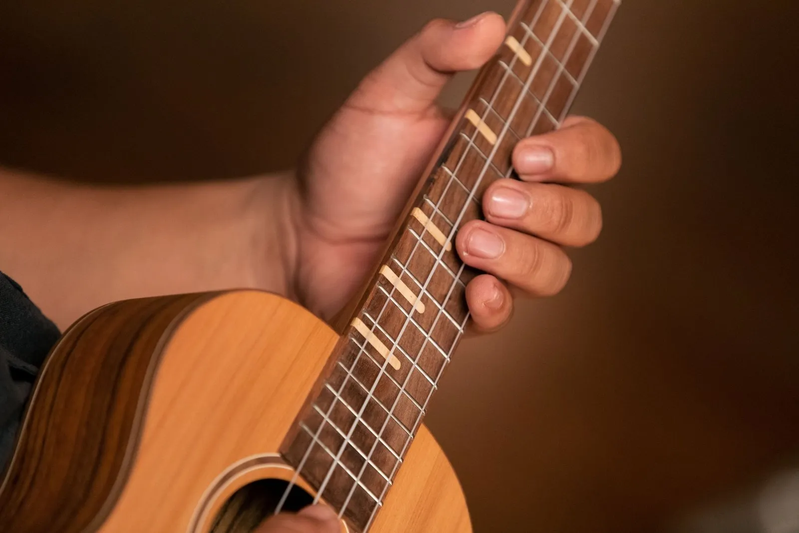 Timber Series Tenor Ukulele - Solid Natural Cedar/Walnut Acoustic with Gig Bag
