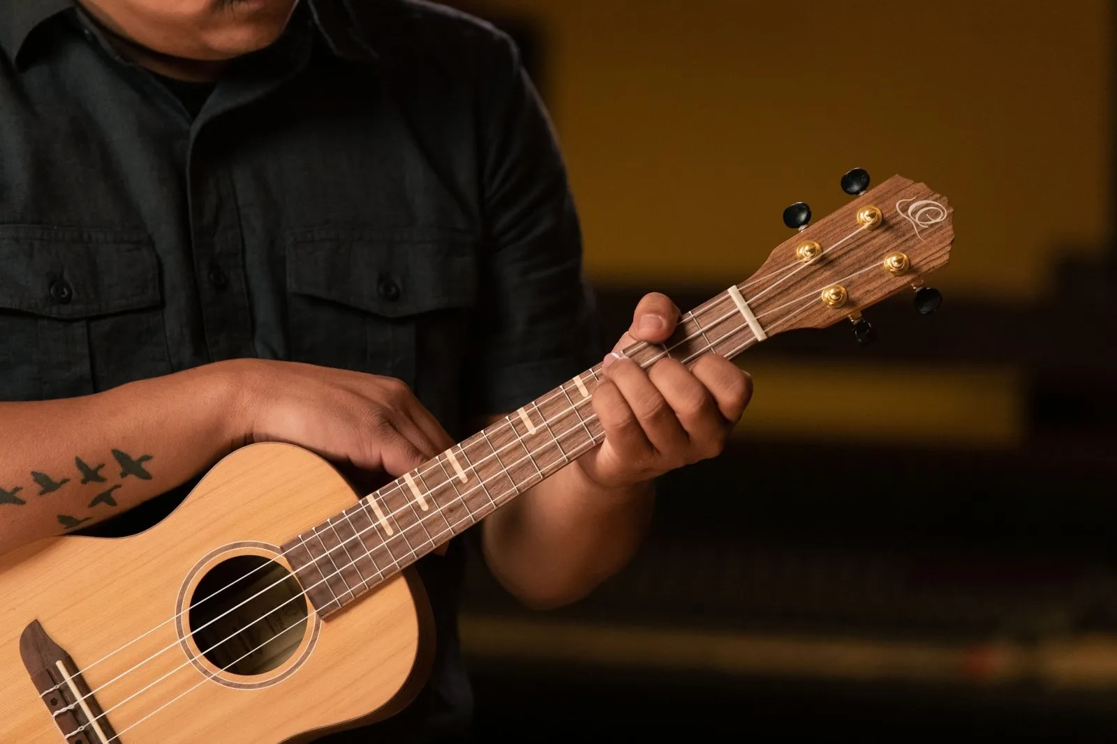 Timber Series Tenor Ukulele - Solid Natural Cedar/Walnut Acoustic with Gig Bag