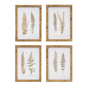 Wood Framed Fern Print (Set of 4)